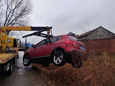 镇坪楚雄道路救援